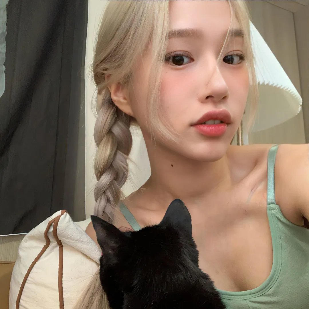 海豚爱上猫