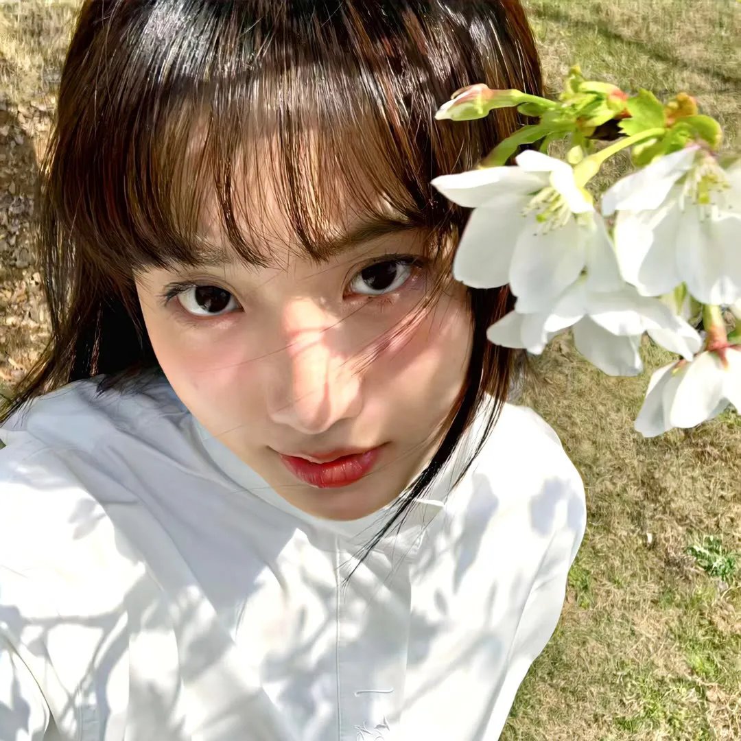 克莱儿的相机